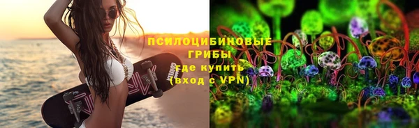 индика Абдулино