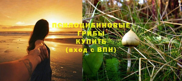 СК Абинск