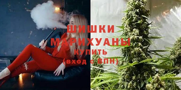 индика Абдулино