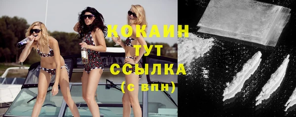 индика Абдулино