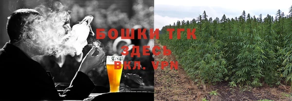 индика Абдулино