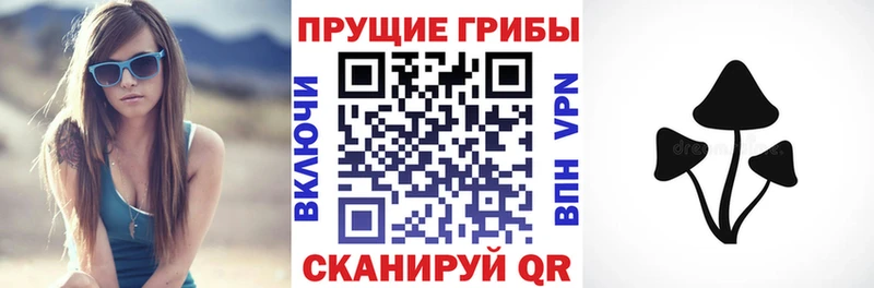 Галлюциногенные грибы Psilocybe  Сафоново 